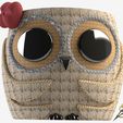 ISO11.jpg Cute owl Pot model 3