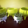 "Molcajete" Flowerpot Line
