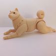 1645777468473.jpg Shiba inu BJD