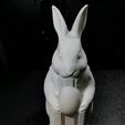WhatsApp-Image-2026-02-02-at-11.56.41-1.jpeg Easter Guardian Rabbit
