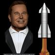 1.jpg Busto di Elon Musk