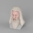 untitled.1750.jpg Dumbledore from Harry Potter bust for full color 3D printing