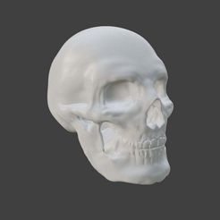 skullb3.jpg Calavera