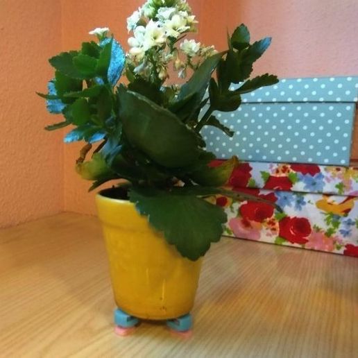 patitasc3.JPG Little Feet for Portable Computer & More!