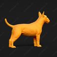 2869-Bull_Terrier_Miniature_Pose_02.jpg Bull Terrier Miniature Dog 3D Print Model Pose 02