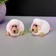IMG_3947.jpg Cute Sheep