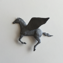Capture_d_e_cran_2016-05-30_a__13.21.49.png Split Pegasus