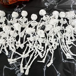 Niedliches Flexi Print-in-Place Skelett