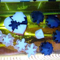 IMG_20120610_220025_display_large_display_large.jpg Dual-strusion Micro Gear Heart