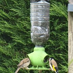 Mangeoire_2.jpg Bird feeder