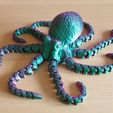 Octopus 2.0