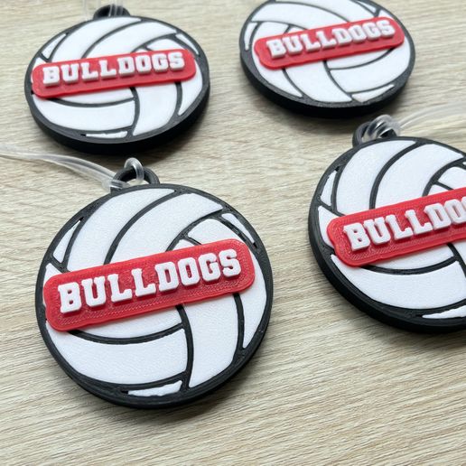 IMG_7355.jpg Volleyball Bag Tag,⚠️(CUTOMIZABLE WITH LINK IN THE DESCRIPTION)