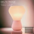 Delta_table-lamp_front-night.jpg DELTA RIDGE  |  Table lamp fast print