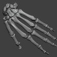 3.png Human Hand Skeleton (Articulated Bones)