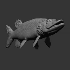 11.jpg Archivo STL El lucio nada・Objeto para impresora 3D para descargar