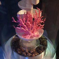 FB_IMG_1683898624778.jpg STL file Biorb Tube 30l - Filter cage and baskets・3D print model to download
