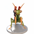 Screenshot_319.png Battle Mantis - 3D Model for Printing