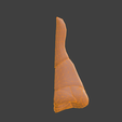 15.png 3D Nose Anatomy Model