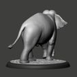 04.jpg Elephant Asian