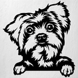 Imagen1-YORKSHIRE-TERRIER.png YORKSHIRE TERRIER DOG WALL ART 2D DECORATION
