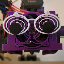 20230826_144407.jpg Googly Eye Glasses For Minimus