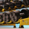 IMG_1677-2.jpg Gym MINI DUMBBELL RACK kaufen 1 Modell & erhalten 24 kostenlose Modell einfach zu drucken Sport