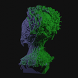 vid0089.png Alien Insectoid Bust