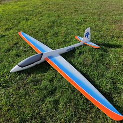 WhatsApp-Image-2023-02-01-at-14.07.48-1.jpeg 3D-Datei Stingray RC-Kunstflugsegler (2,9m)・3D-druckbares Modell zum Herunterladen
