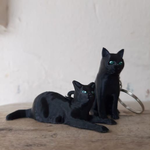 WhatsApp-Image-2023-02-20-at-12.27.50-1.jpeg (x2) Cat keychains