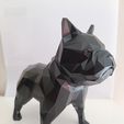 Low Poly Bulldog