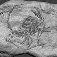 vc4.png Velociraptor Complete Mineral Fossile - Realistic Printable Resin