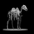 Skeleton_Warhorse_Updated.JPG Skeleton Warhorse Updated