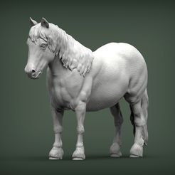 pony4.jpg Fichier STL Modèle d'impression 3D du poney・Design pour impression 3D à télécharger