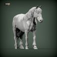 Percheron3.jpg Caballo percherón Modelo de impresión 3D