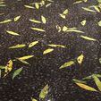 2.jpg Leafy Flooded Asphalt 8K PBR Texture