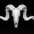 ZBrush-Document.jpg RAM SKULL