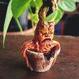 6.jpg STL file Mandrake Plant - Harry Potter・3D printer model to download