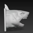Screenshot-2025-12-02-042431.png Cabeza de tiburón blanco de pared