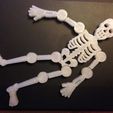 "Skeletonz