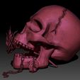 skull-3d-model-obj-stl-ztl-8.jpg Skull 3D print model