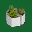 plantr_3.jpg Plantr