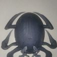 20230406_094200.jpg Blue Beetle Scarab Pendant