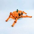 1.jpg Flexi Halloween Pumpkin Spider