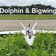dolphin-title.jpg AtomRC Dolphin großer Flügel Umbau