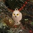 IMG_20231212_092716.jpg Christmas bauble Owl