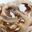 IMG_20210619_151938.jpg Majungasaurus skull 3D Print - dinosaur