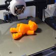 flexi bear