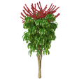 54-1.png Plant Tree And Flowers Home 3D Model 53-56