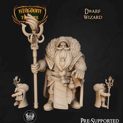 resize-01-1.jpg 3D file Dwarf Wizard・3D printer design to download