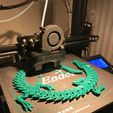 Articulated Dragon